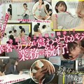 [FHD] START-155 SOD本社で一日社員体験！制作部ADになった宮島めいがプレゼンで・面接で・説明会で！ずっとハメっぱなし辱め業務！