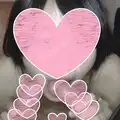 KA053 業の深いSEXファイル No.053　あゆみ3P編
