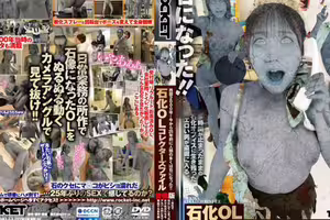 石化的OL收藏家的檔案愛情想像版