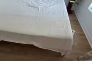 NEW Pregnant Molly Little Gets Fucked